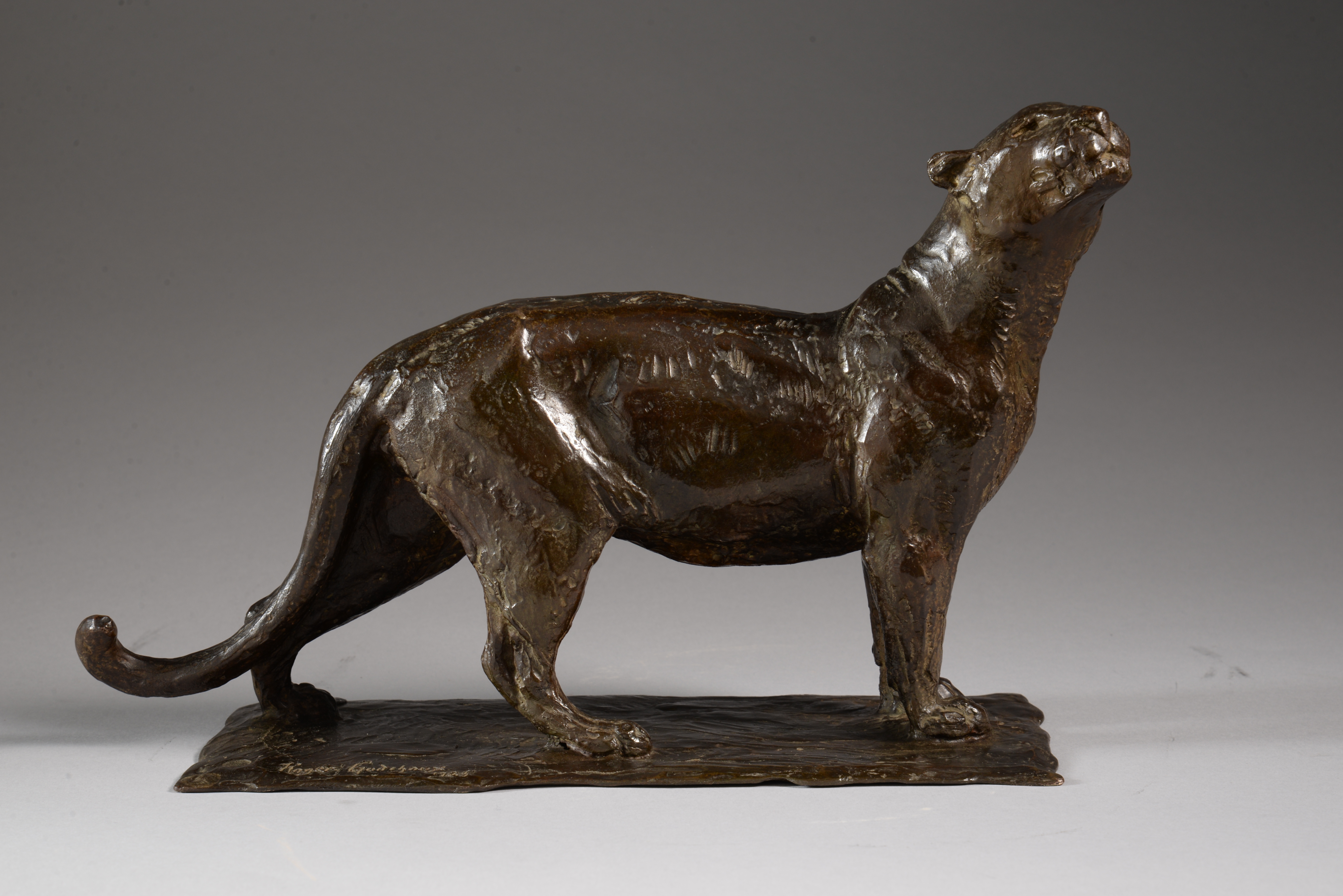 LIONNE TÊTE LEVÉE (1925)

